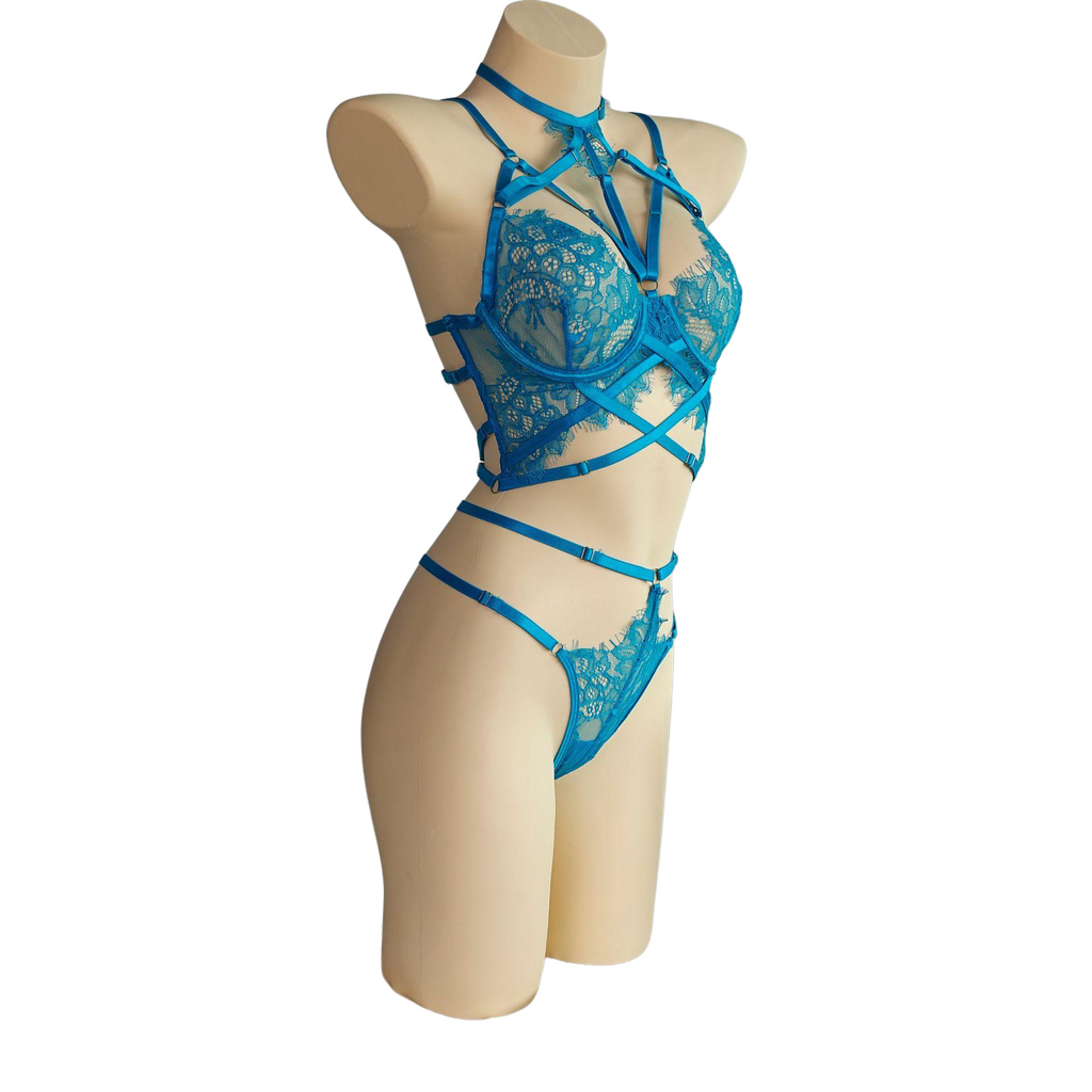 Curvy Lingerie Set | Sheer Mesh Teddy Bodysuit