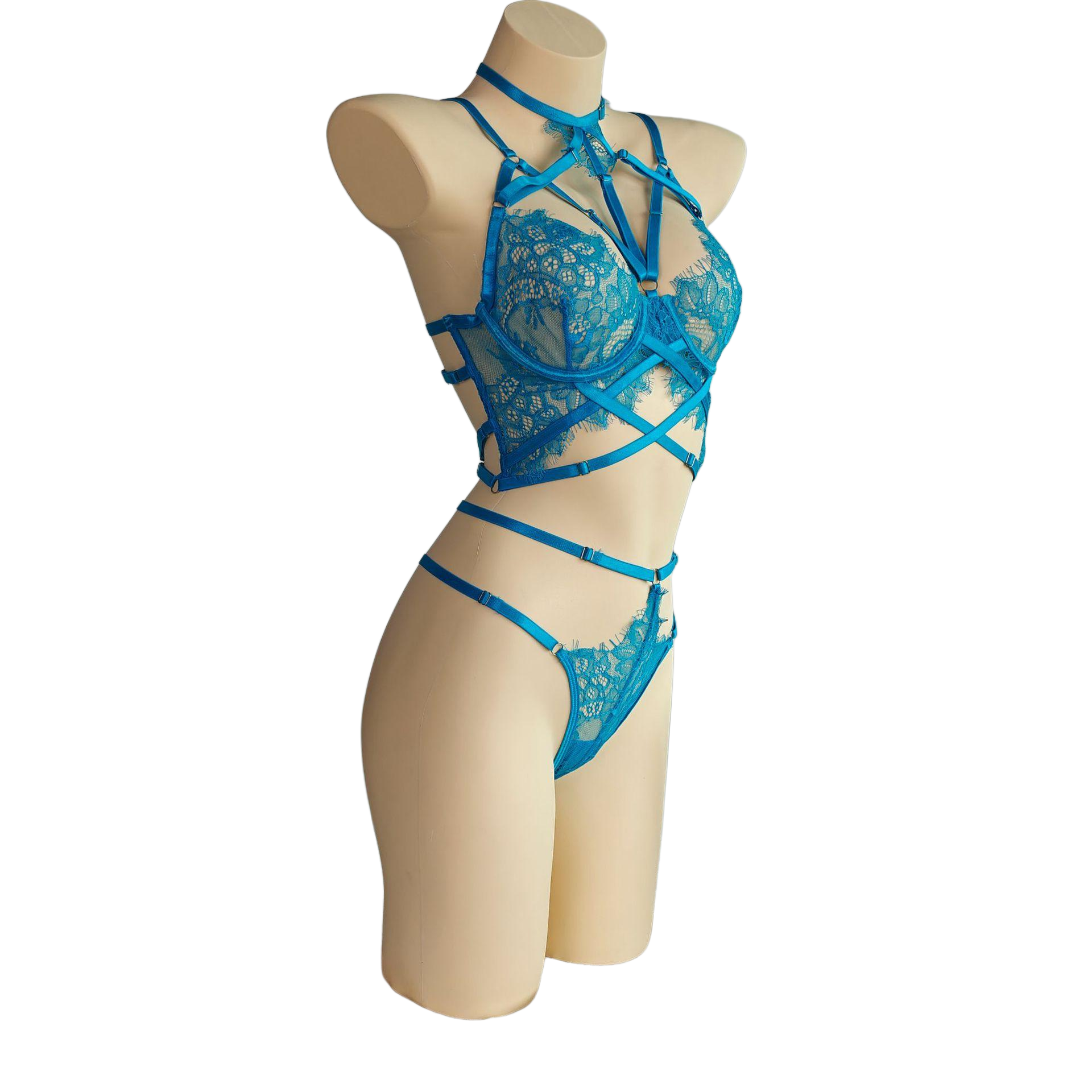 Curvy Lingerie Set | Sheer Mesh Teddy Bodysuit